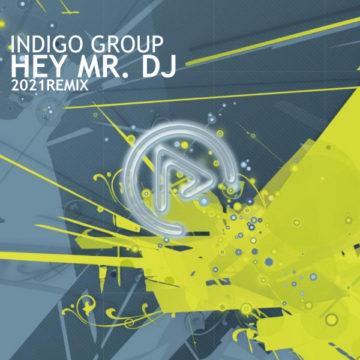 indigo group