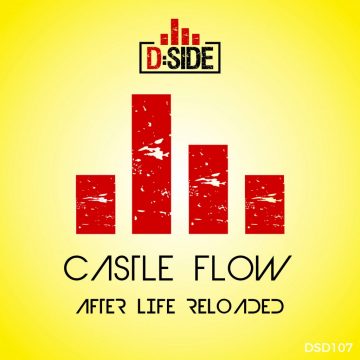 DSD107 CASTLE FLOW