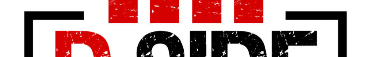 dside-logo